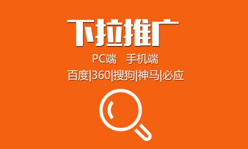 日本va欧美va精品发布